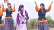 Chal He Ulariya Syali | Palya Gaon Ki Surja | Rama Cassttes | Virender Rajput | Meena Rana