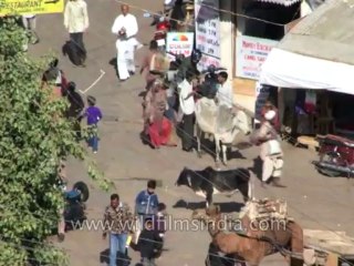 Rajasthan-Jaisalmer-Dvd-128-2