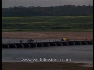 River-chambal-dvd-148-2