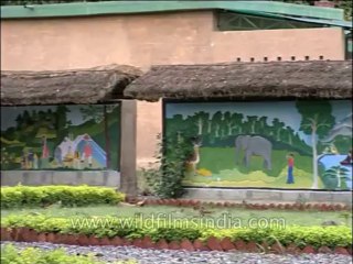 Uttaranchal-Corbett-Dvd-128-7