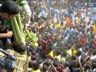 DVD-90-festivals-bullrun-1-2