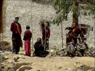 People-Ladakh-Dvd-136-2