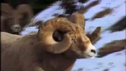 Roll Out of The Campaign to Fix the Debt