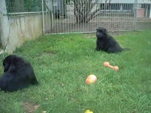 27 août 2013 : 27 jours