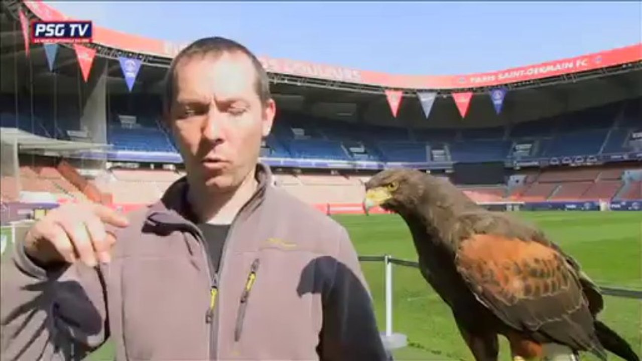 Le JT du mardi 26 mars