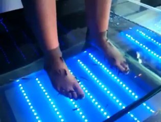 Une pédicure par des poissons