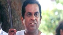 Ammulu Movie Cuts-05 -  Brahmanandam Scold Dharmavarapu Subramanyam Comedy Scene - Suman, Greeshma, Ravali - HD