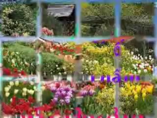 thợ sửa chữa diện nuoc tại quận 11#0973982818!tp.hcm