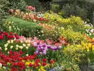 thợ sửa chữa diện nuoc tại quận 12#0973982818!tp.hcm