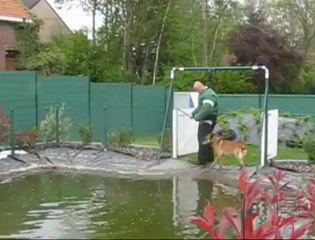 brigade canine mouscron