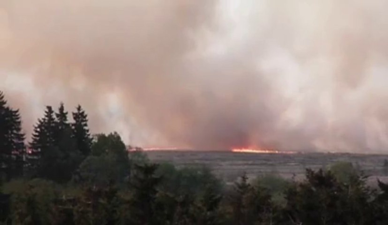 Incendie dans les Hautes Fagnes