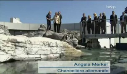 Angela Merkel adopte un manchot