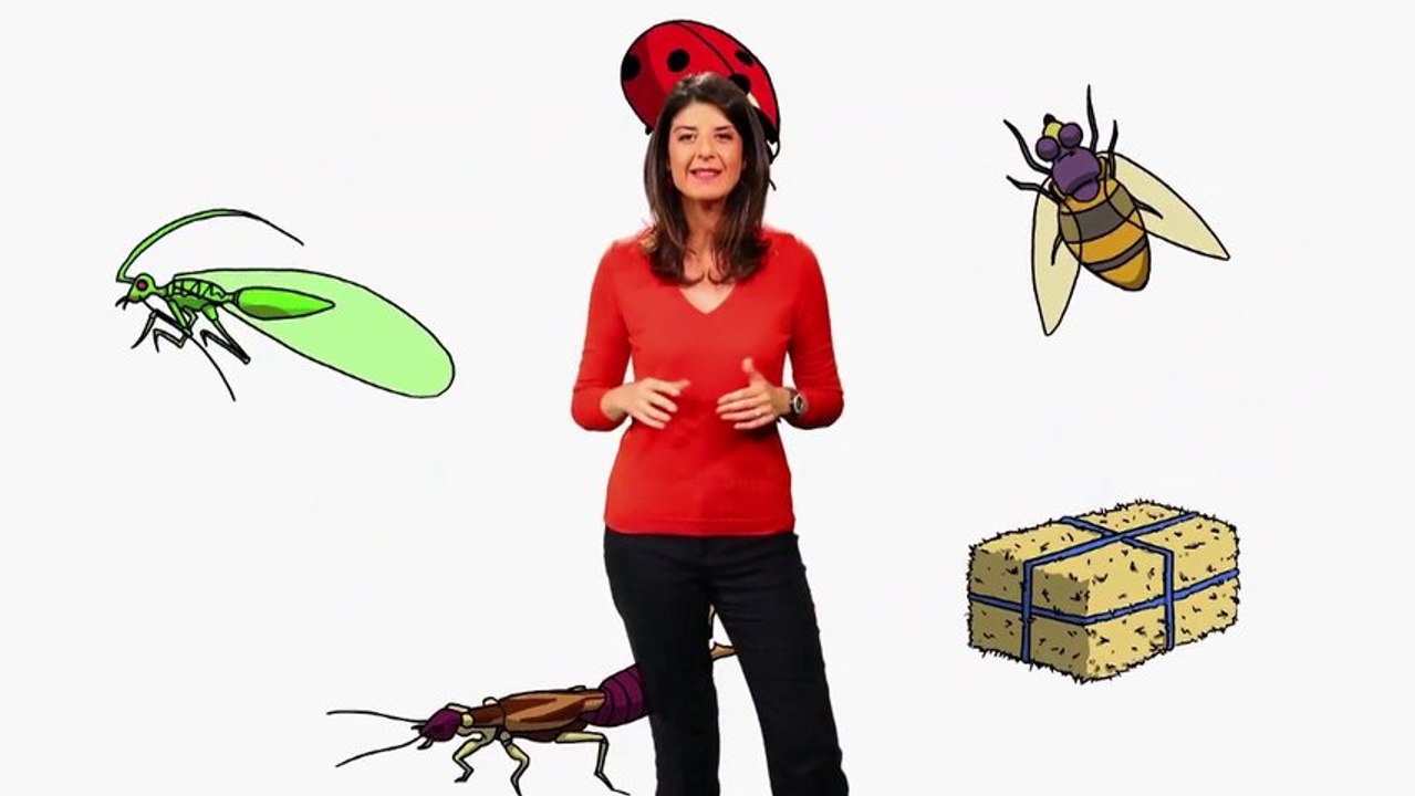 Les alternatives aux pesticides (Flash conso - Eau et rivières de Bretagne)