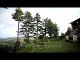 Bunty's cottage, Abbott mount