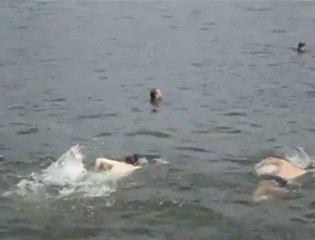 Jean-Michel Javaux nage dans la Meuse