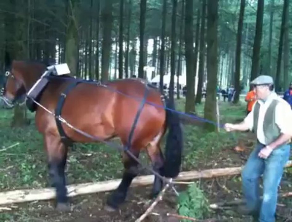 Paliseul: démonstrations forestières