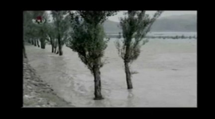 Muifa tue en Corée du Nord