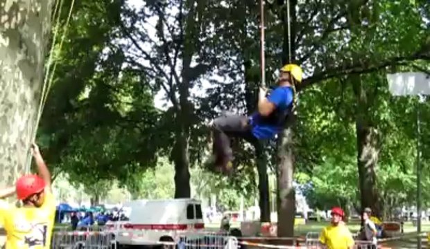 Championnat élagueurs