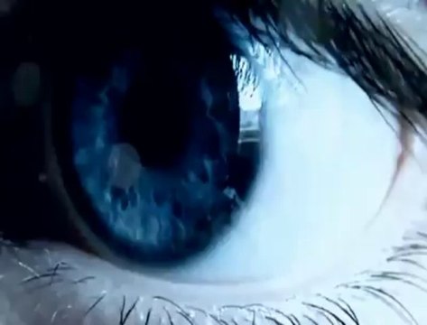 Asian Dub Foundation, en concert à Marche