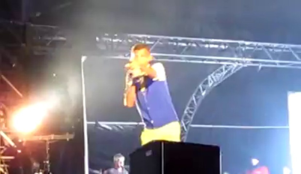 Fête de Wallonie à Liège