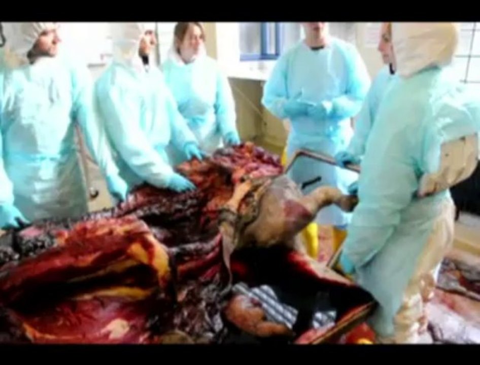 Un cours d'autopsie avec Calixte Bayrou à L'ulg