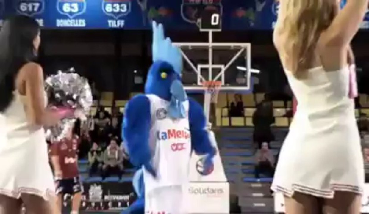 Ambiance chez les Pepins