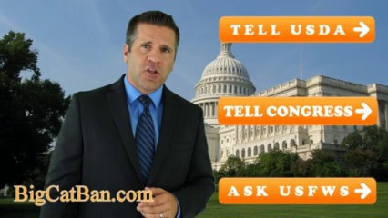 Help Save Tigers & Lions!