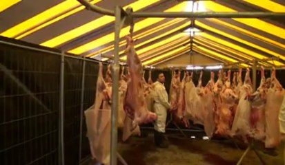 Aïd el Kebir à Namur