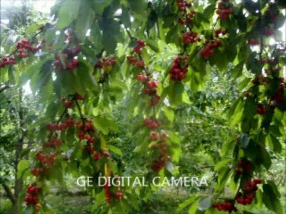 hisarardı  köyü   yalvaç