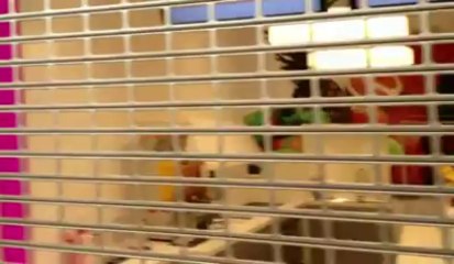 Inauguration du shopping de Nivelles