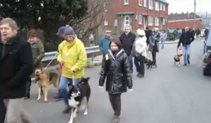 50 personnes et 15 chiens en hommage à Shayna, abattue par la police