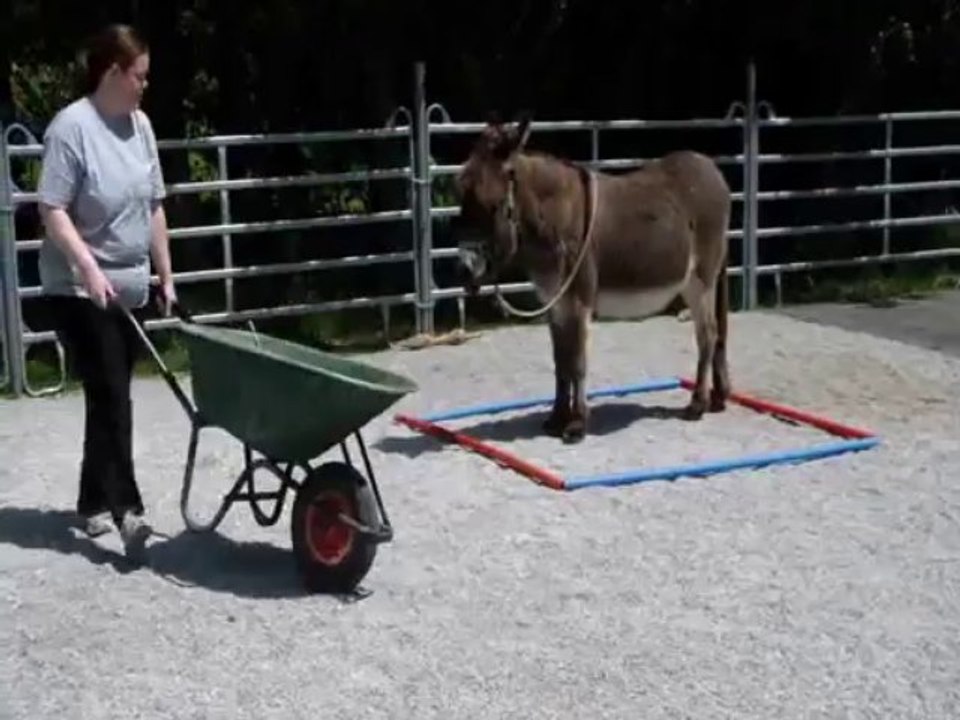 Pipo et sophie 2