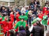 Cortège carnavalesque de Sart-Tiège 2012 (2)