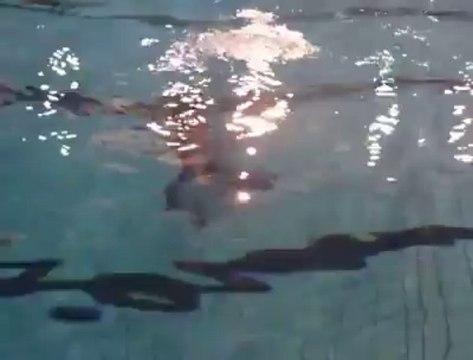 Mouscron: on a testé la plongée à la piscine des Dauphins