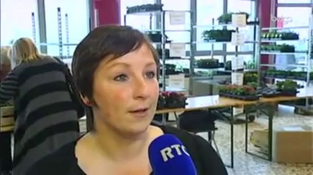 Des poules pour réduire les déchets