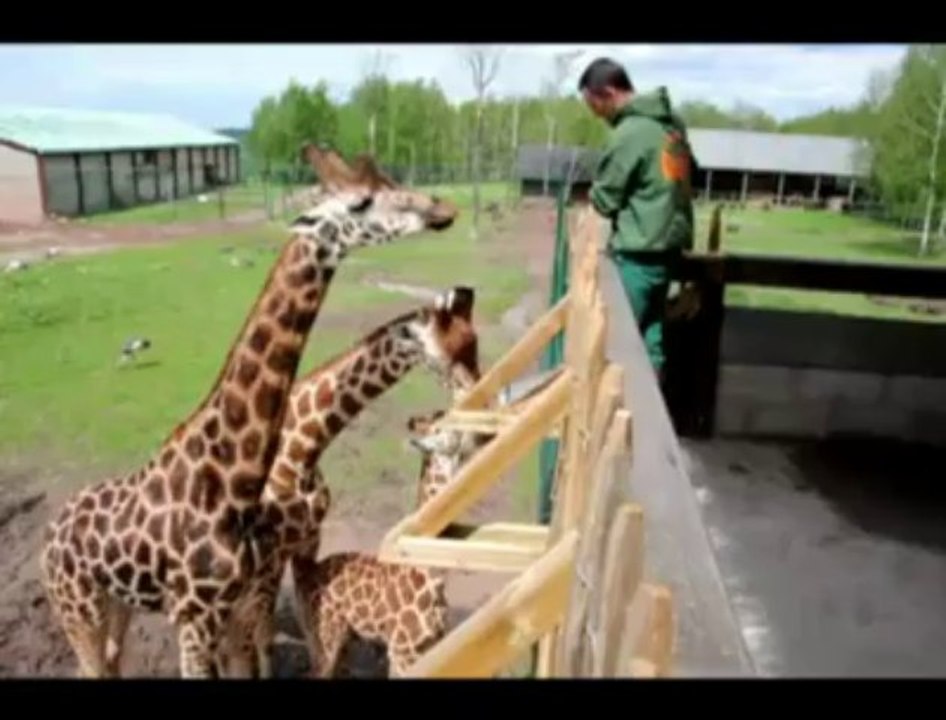 Les nouveautées du Monde Sauvage d'Aywaille