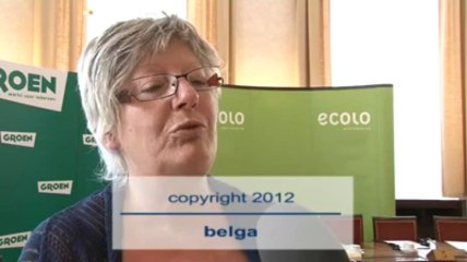 Ecolo-Groen place les unités flexibles de production au coeur du débat