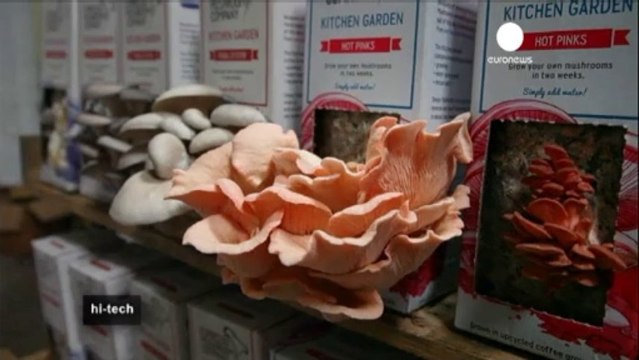 Coffee perks up mushrooms