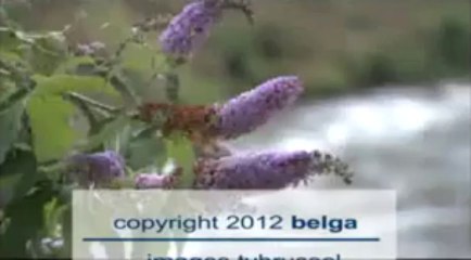 Le "big jump" de Brigitte Grouwels dans la Senne