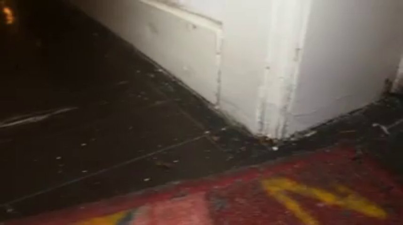 Plein de cafards dans un immeuble Rue des Theux a Etterbeek