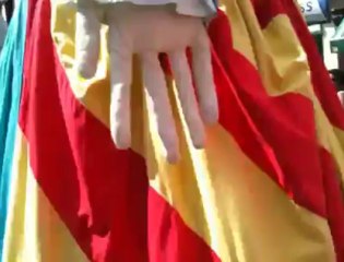 Meyboom, la parade dans Bruxelles