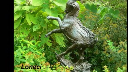 le  Jardin  magique .