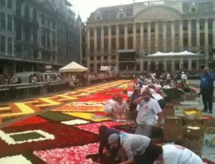 Bruxelles: Installation du Tapis de Fleurs