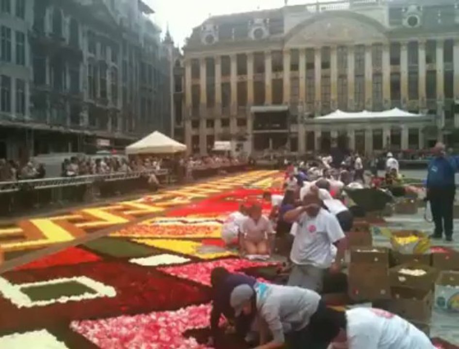 Bruxelles: Installation du Tapis de Fleurs