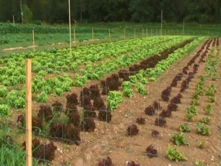 "Sauvons une ferme bio ! " appel citoyen de Stéphanie Muzard Le Moing