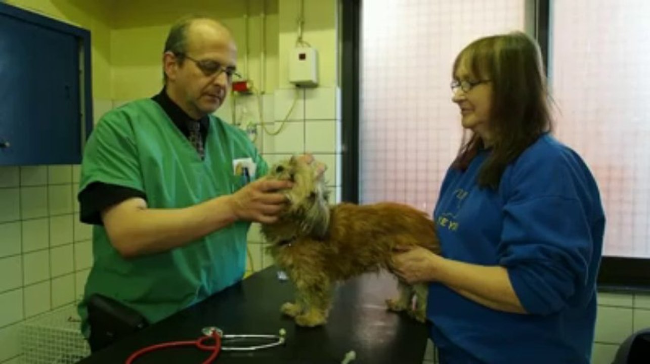 Portes ouvertes au refuge Veeweyde