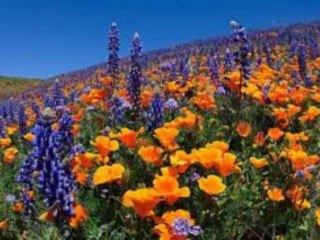 Ma spécial (partie 2) Par Fernand