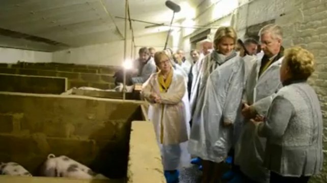 Philippe et Mathilde visitent un élevage de porcs à Jodoigne