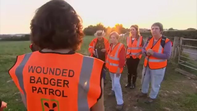 Sky News_First Badger Cull Under Way Amid Protests 27Aug13