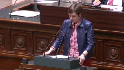 L'abdication, l'occasion de se questionner sur le rôle de la monarchie